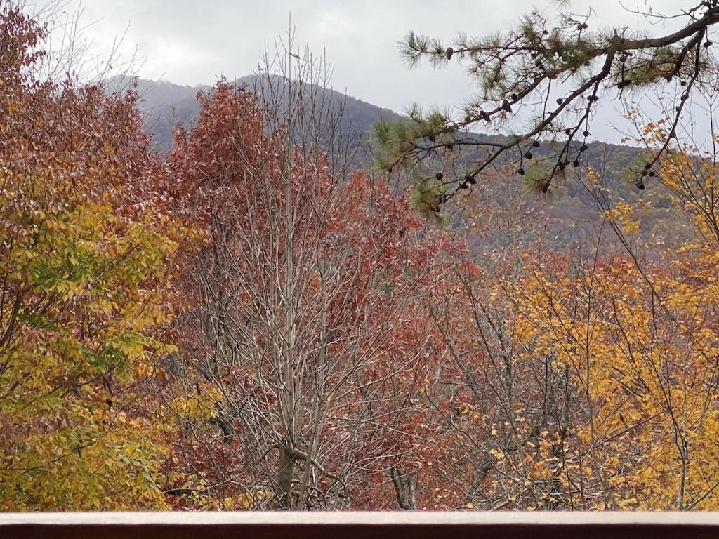 Chalet Beech Creek Cabin,