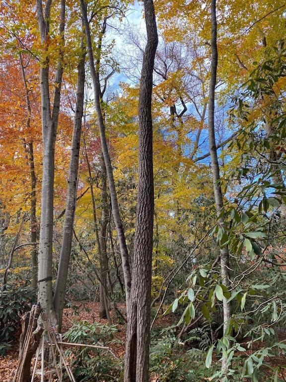 Beech Creek Cabin, Black Mountain